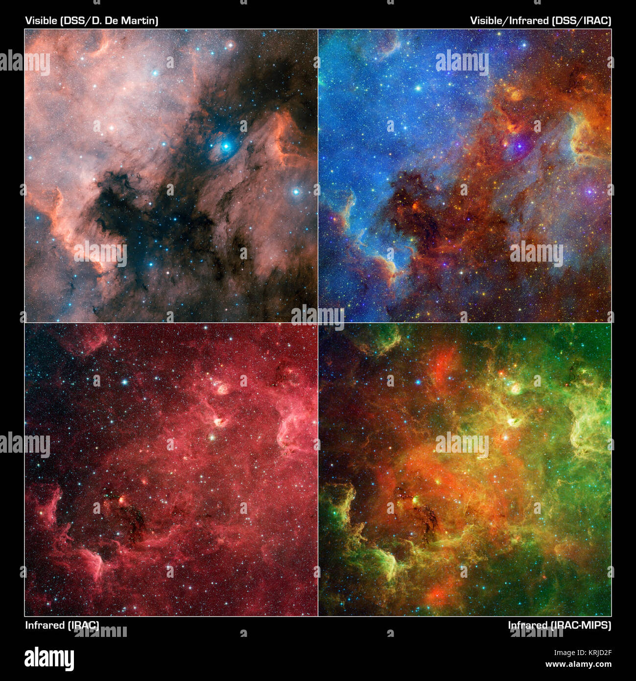 Questo formato di immagine rivela come l'aspetto dell'America del nord Nebula può cambiare drasticamente utilizzando diverse combinazioni di infrarosso e visibile di osservazioni del cielo digitalizzata sondaggio e NASA il telescopio spaziale Spitzer, rispettivamente. In questa progressione, la luce visibile (visualizzazione in alto a sinistra) mostra una sorprendente somiglianza con il Nord America continente. L'immagine mette in evidenza la costa orientale e il Golfo del Messico regioni. La regione rossa a destra è noto come il " Pelican nebula,' dopo la sua somiglianza di luce visibile per un pellicano. La vista in alto a destra include sia visibile e inf Foto Stock