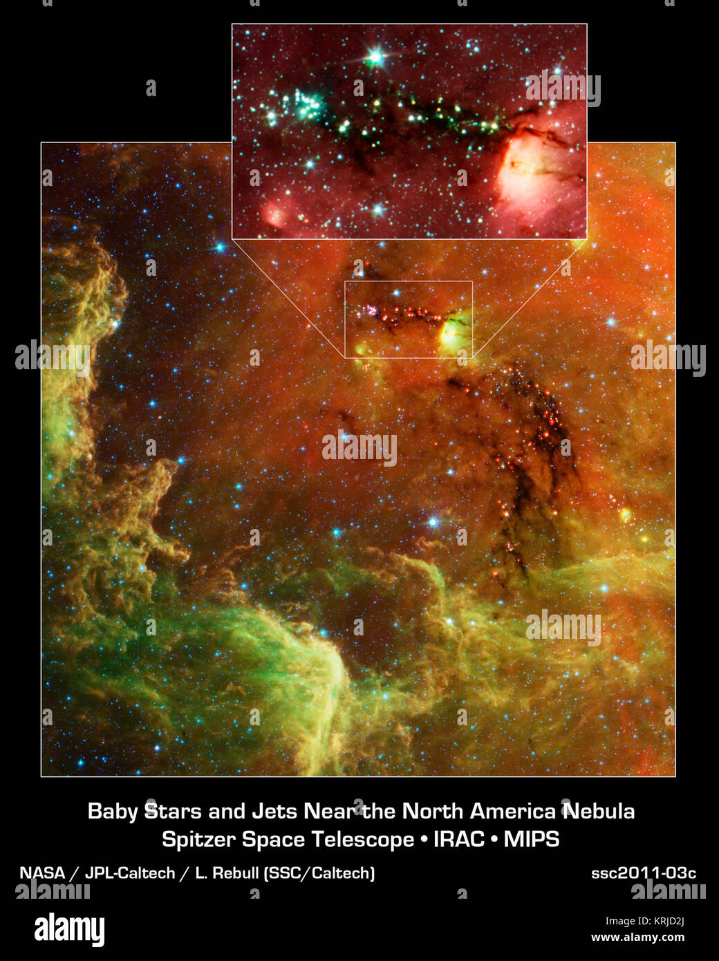 Stelle a tutte le fasi di sviluppo, da poco polveroso tots a giovani adulti, sono in mostra in una nuova immagine dalla NASA il telescopio spaziale Spitzer. La comunità cosmica è chiamato il Nord America nebulosa. In luce visibile, la regione assomiglia al Nord America continente, con la più sorprendente rassomiglianza essendo il Golfo del Messico. Ma in dello Spitzer vista a raggi infrarossi, il continente scompare. Invece, un paesaggio vorticoso di polvere e le giovani stelle entra in vista. Questa immagine si concentra sul Golfo del Messico cluster di giovani stelle. Diverse centinaia di giovani stelle, visto qui come i puntini rossi, huddle insieme Foto Stock