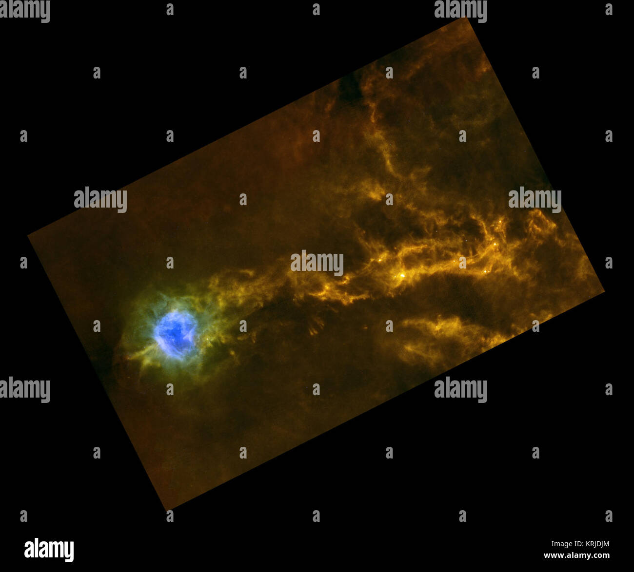 Filamenti densa di gas nell'IC5146 nube interstellare può essere visto chiaramente in questa immagine presa in luce a infrarossi da l'Osservatorio spaziale Herschel. Le stelle sono formando lungo questi filamenti. La zona blu è un vivaio stellare noto come il cocoon nebula. Questa immagine è stata scattata da ESA Herschel space observatory a lunghezze d'onda infrarosse di 70, 250 e 500 micron. Le stringhe Star-Studded intorno al Cocoon Nebula Foto Stock