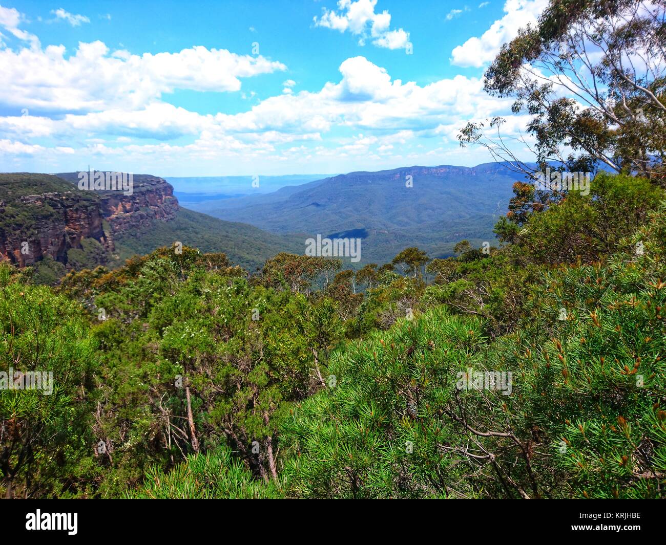 Australian paesaggio di montagna. Grande valle boscosa nelle Blue Mountains, Australia. Jamison Lookout, Wentworth Falls. Foto Stock