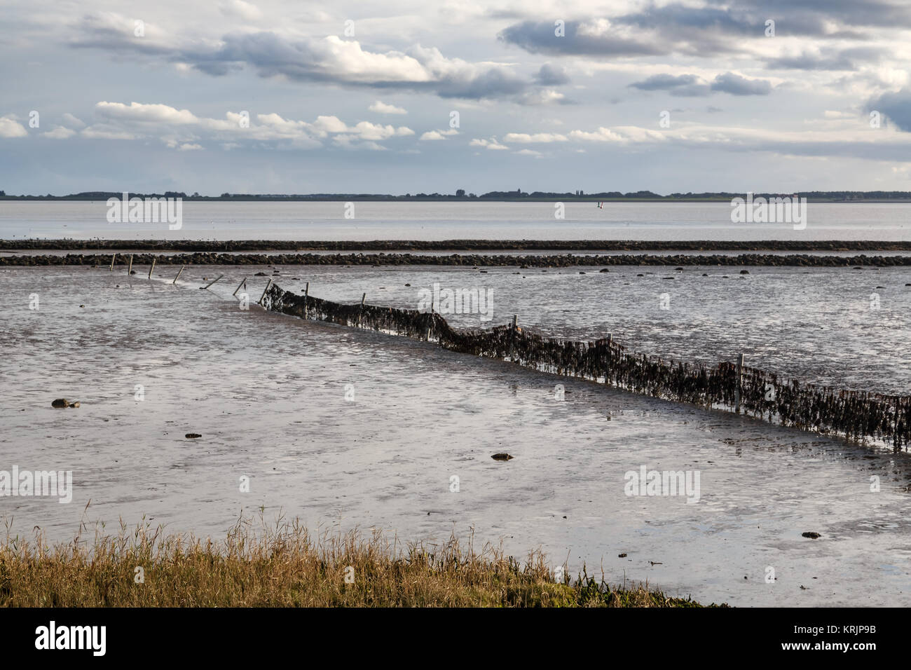 La bassa marea su dollard Foto Stock