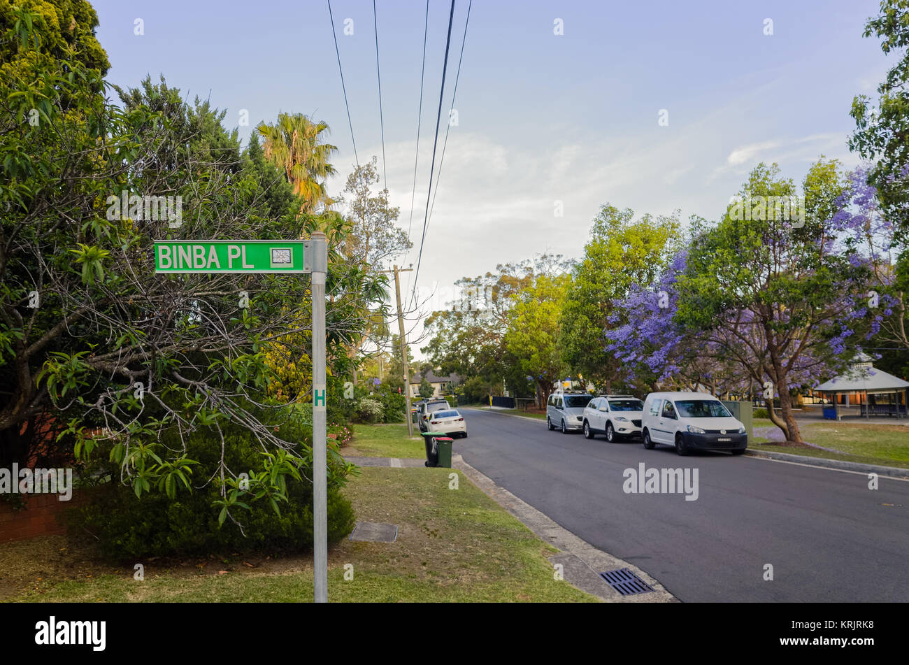 Bella suburban Australia street con vetture, parco, erba e alberi. Sobborgo di Brookvale in spiagge settentrionali area di Sydney, Nuovo Galles del Sud, Aus Foto Stock