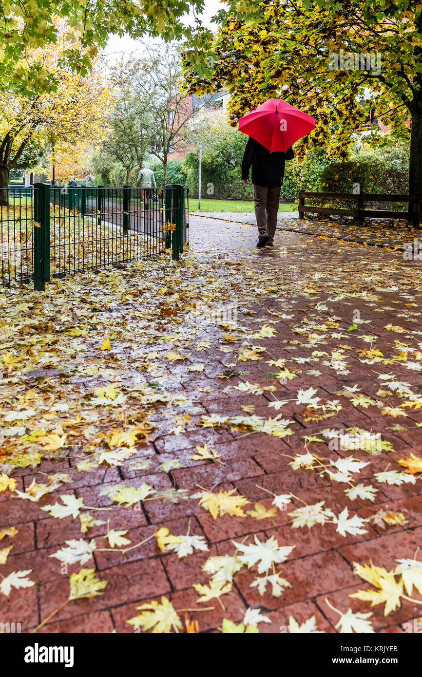 pioggia di autunno Foto Stock