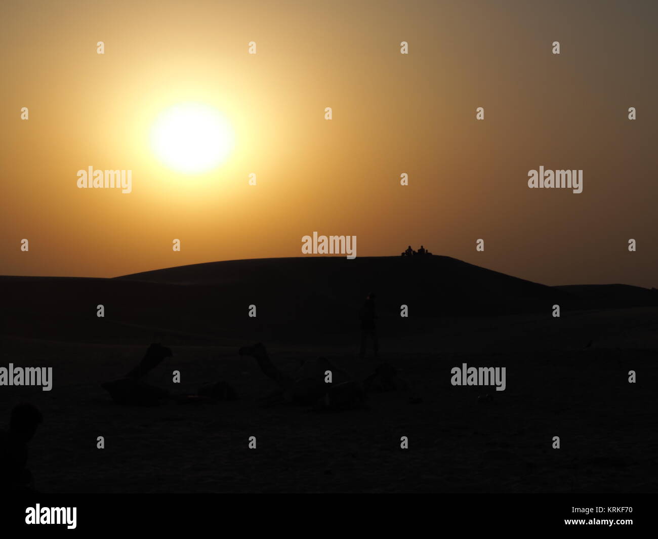 Foto prendere durante il tramonto nel deserto di Thar durante una corsa in cammello Foto Stock