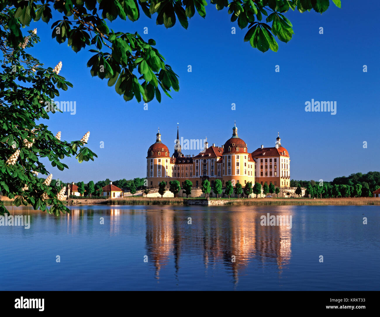 Castello di Moritzburg, nei pressi di Dresda, Sassonia, Germania Foto Stock