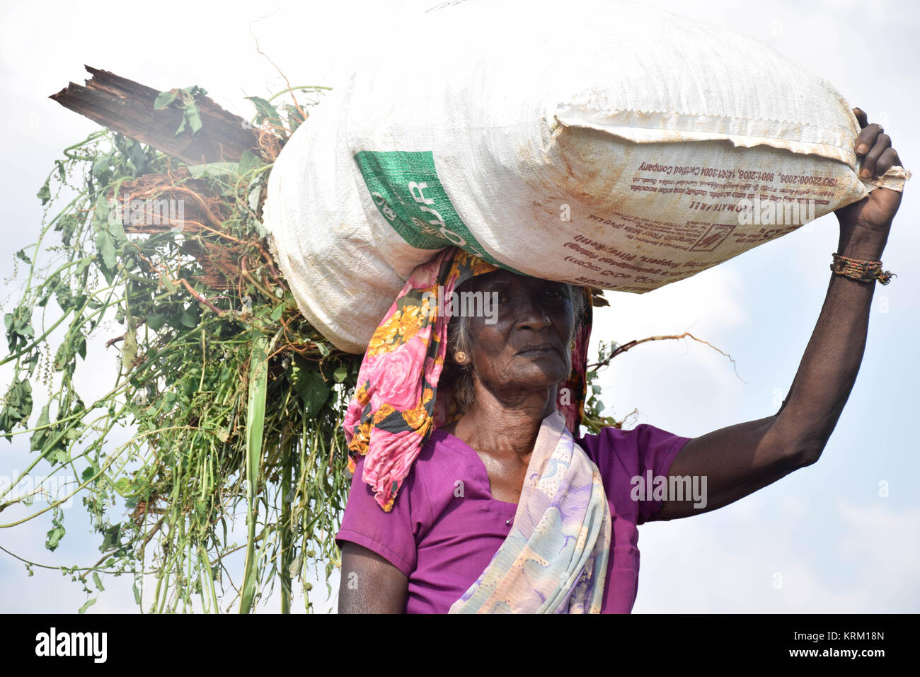 Lavoro duro Donna che cammina sulla strada, Jaffna SL Foto Stock