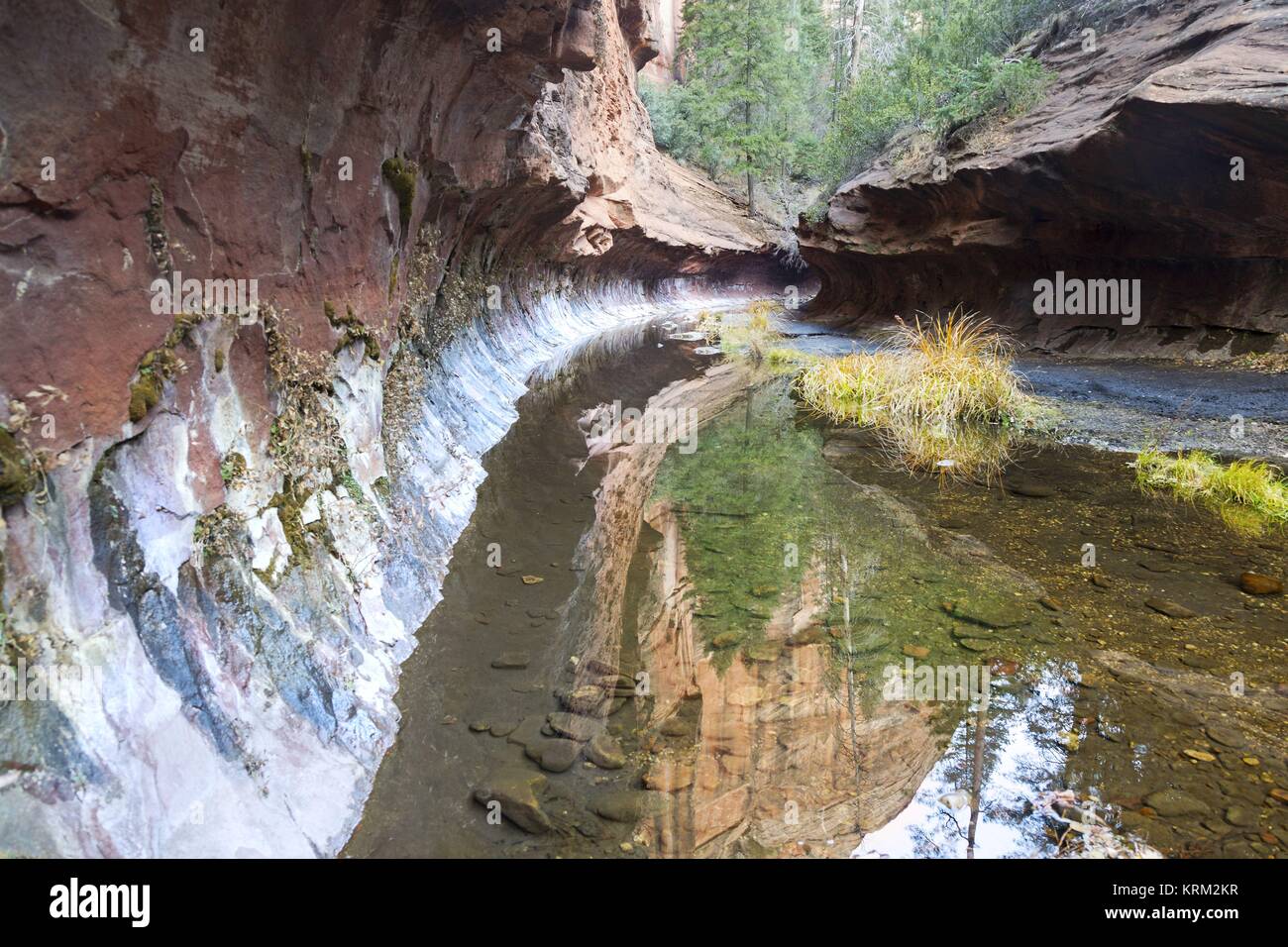 Pareti di Red Rock e piscine d'acqua Vista paesaggistica. Fine del percorso escursionistico all'Oak Creek Canyon West Fork. Sedona, Arizona, Stati Uniti Foto Stock