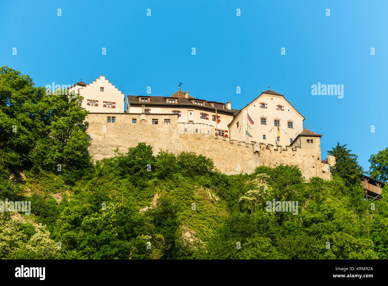 Il castello di Vaduz nel Liechtenstein. Principato del Liechtenstein è uno dei più piccoli del mondo paesi. È Foto Stock