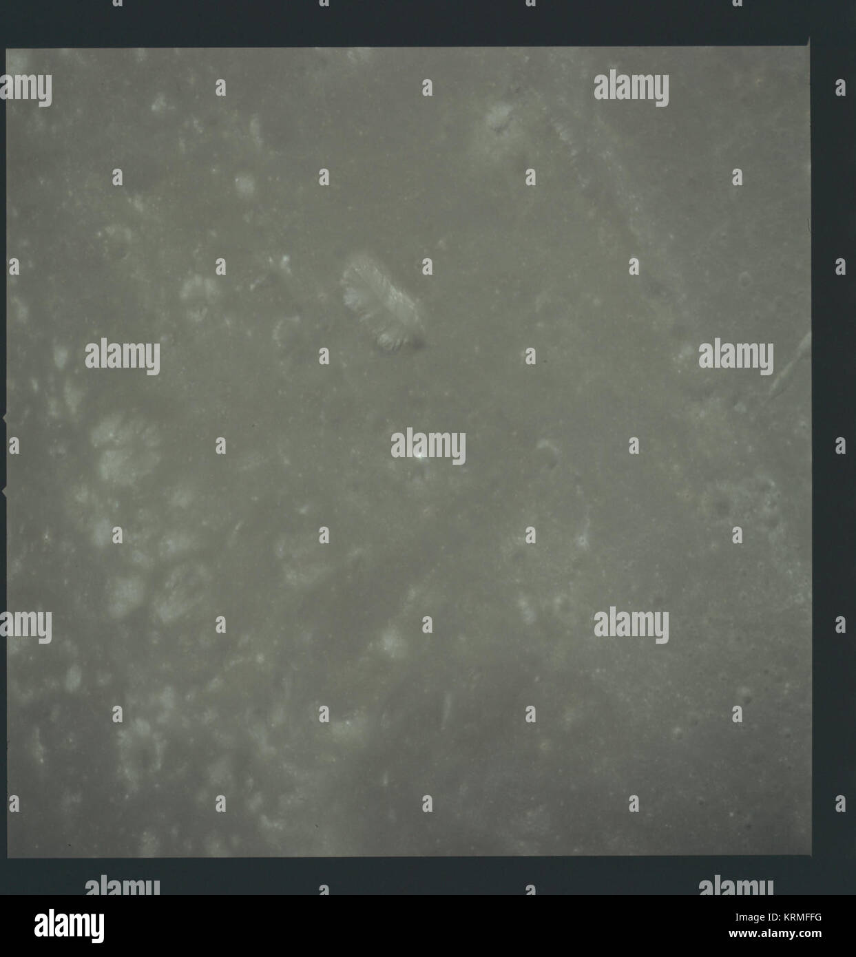 Come17-149-22879 (21889385212) Foto Stock