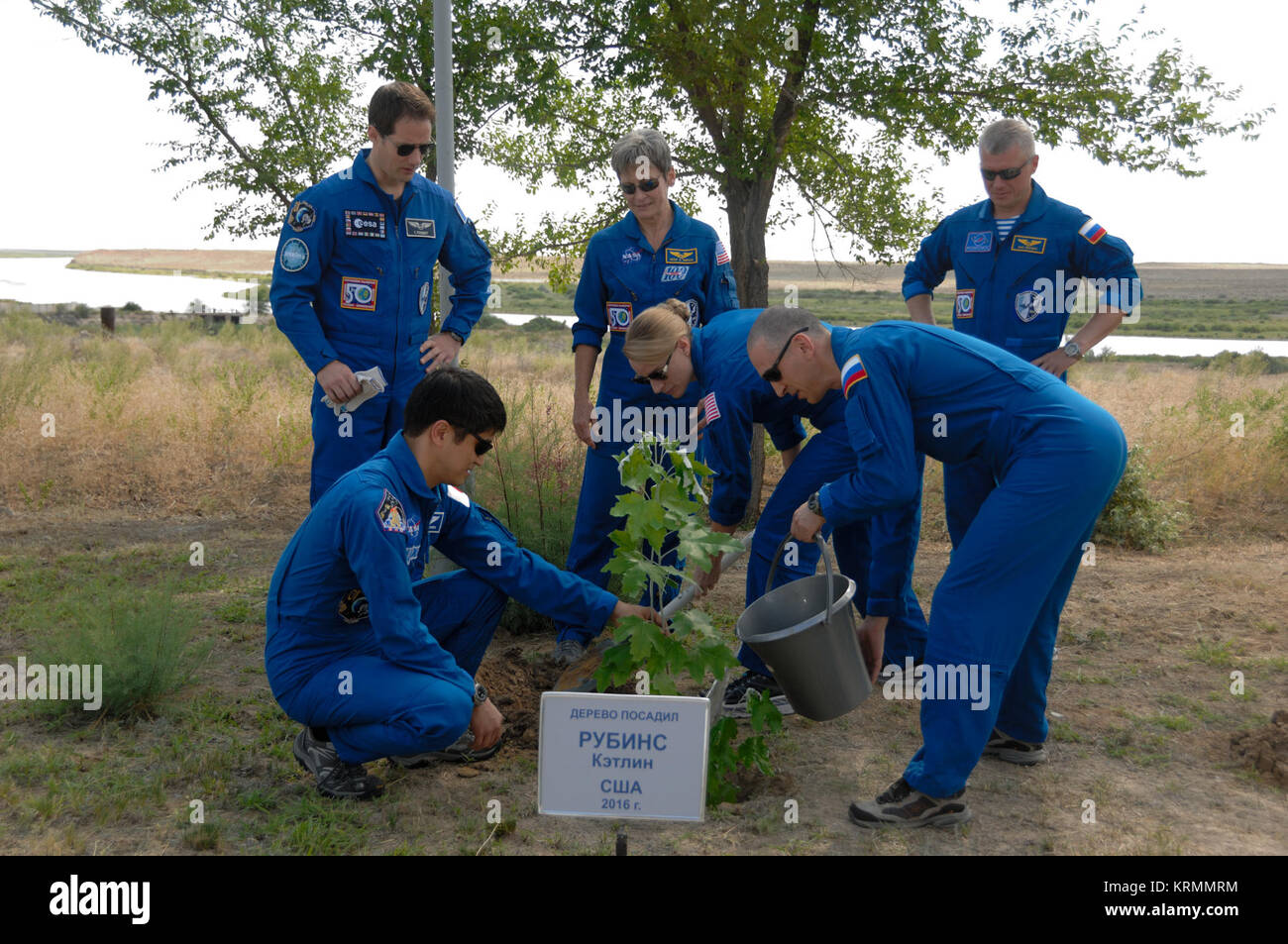 Al cosmonauta Hotel di Baikonur, Kazakistan, Expedition 48-49 membro dell'equipaggio Kate Rubins della NASA (bancata anteriore, centro) aiuta a piantare un albero in suo nome in tradizionale pre-attività di lancio Giugno 30 con l'assistenza di primaria crewmates Takuya Onishi della Japan Aerospace Exploration Agency (bancata anteriore, sinistra) e Anatoly Ivanishin di Roscosmos (bancata anteriore, destra). Cerca su backup sono il suo equipaggio Thomas Pesquet dell'Agenzia spaziale europea (in piedi a sinistra), Peggy Whitson della NASA (standing, centro) e Oleg Novitskiy (in piedi, a destra). Rubins, Ivanishin e Onishi lancerà il 7 luglio, Cosmodromo di tempo Foto Stock