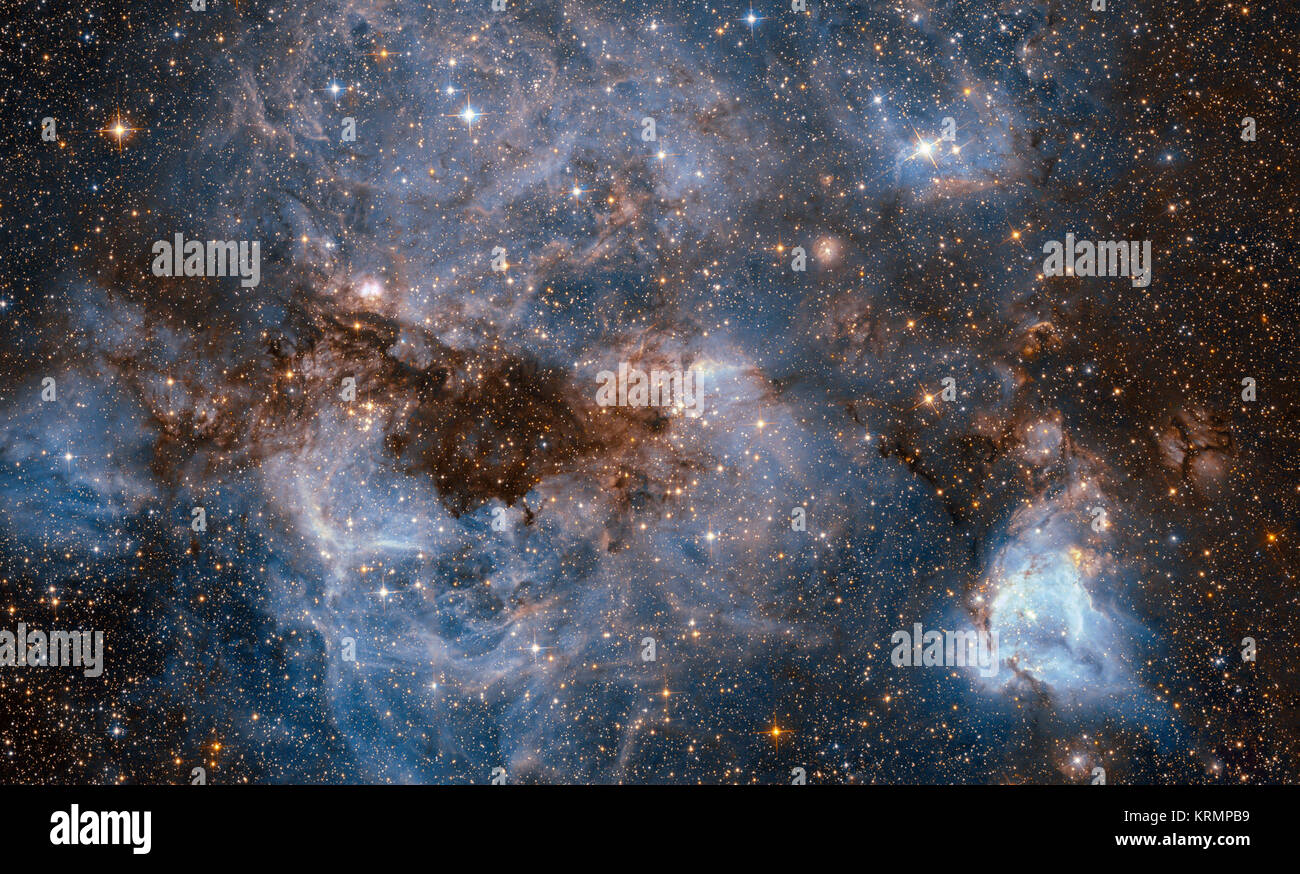 Questa ripresa dalla NASA/ESA Telescopio Spaziale Hubble mostra un vortice di gas incandescenti e polvere scura entro uno della Via Lattea di galassie satellite, la grande Magellanic Cloud (LMC). Questo scenario tempestoso mostra un vivaio stellare noto come N159, una regione HII oltre 150 anni-luce attraverso. N159 contiene molti hot giovani stelle. Queste stelle sono intensa emissione di luce ultravioletta, che fa sì che nei dintorni di gas idrogeno a incandescenza, e piogge venti stellari che sono il carving fuori creste, archi, e filamenti dal materiale circostante. Al cuore di questa nube cosmica giace il Papillon Nebula, una farfalla-forma Foto Stock