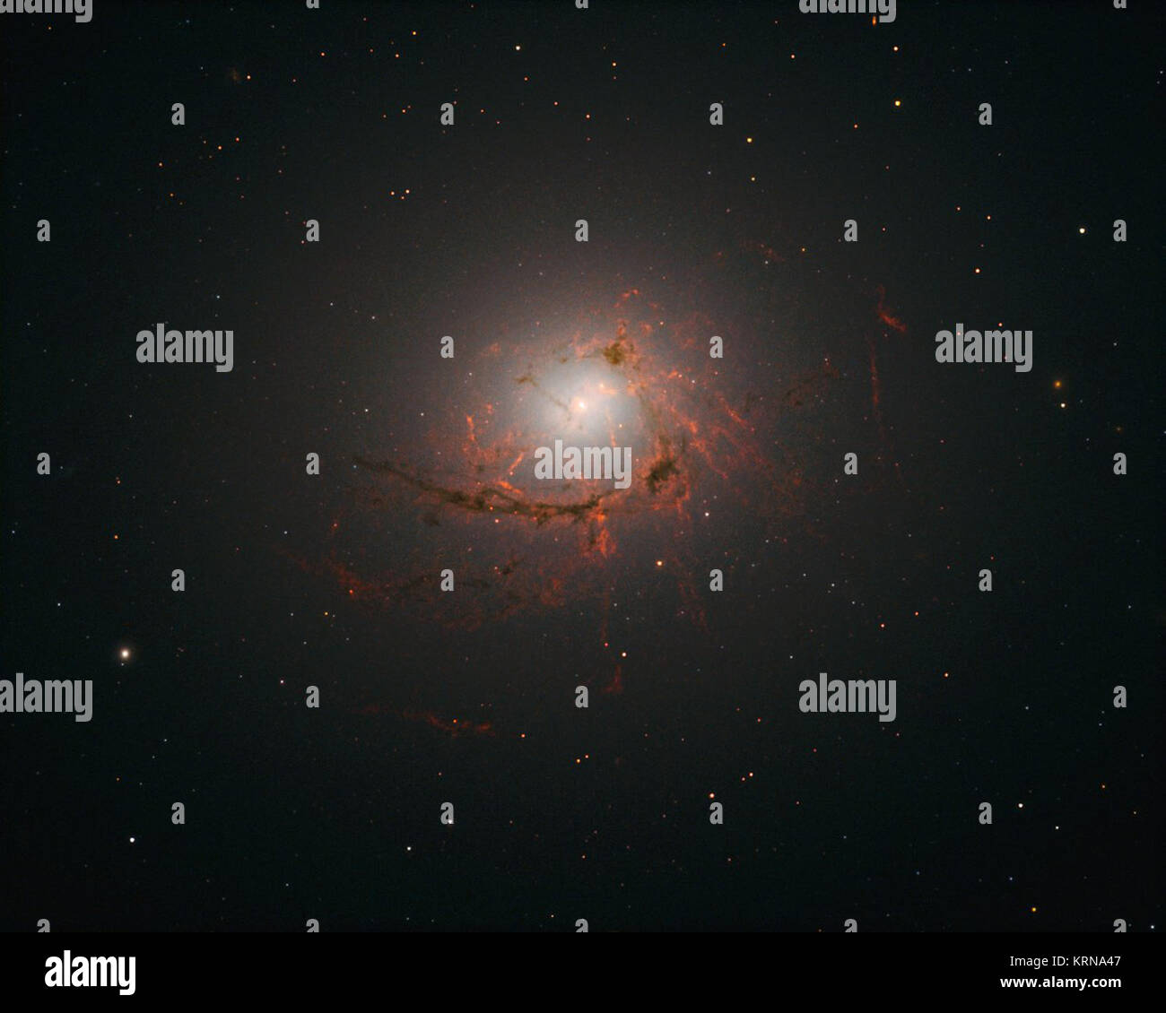 Questa immagine presa dal telescopio Hubble è largo campo la telecamera 3 (WFC3), mostra NGC 4696, la più grande galassia del Centauro Cluster. Le nuove immagini prese con Hubble mostrano i filamenti polverosi che circondano il centro di questa enorme di Galaxy in maggiore dettaglio rispetto al passato. Questi filamenti loop e arricciatura verso l'interno in un intrigante a forma di spirale, turbinano intorno il supermassive black hole a una distanza tale che essi sono trascinati in e infine consumata dal buco nero stesso. NGC 4696 hubble Foto Stock