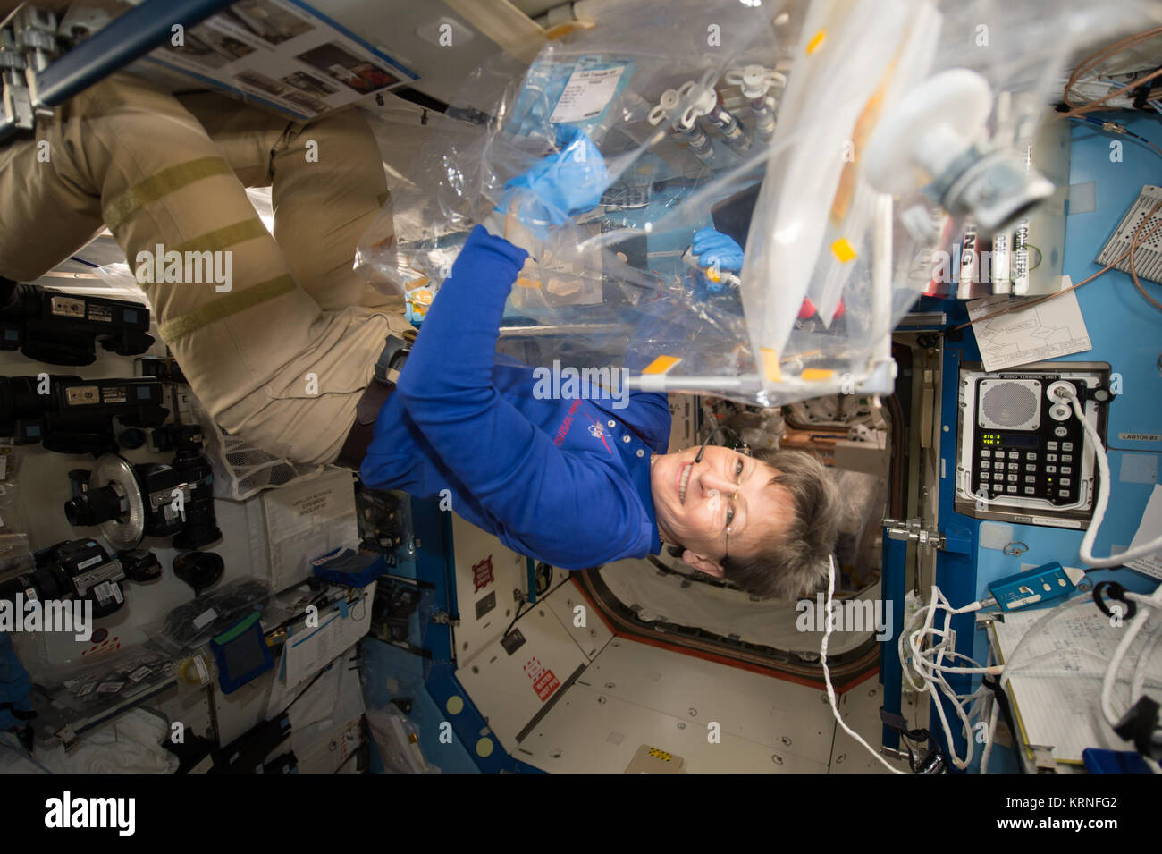 ISS-52 Peggy Whitson lavora nel destino lab Foto Stock