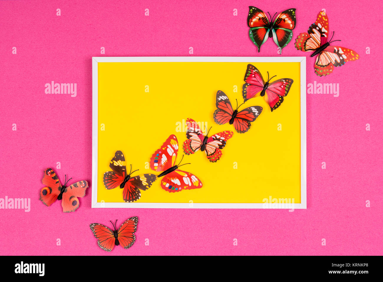 Farfalle decorative immagini e fotografie stock ad alta risoluzione - Alamy