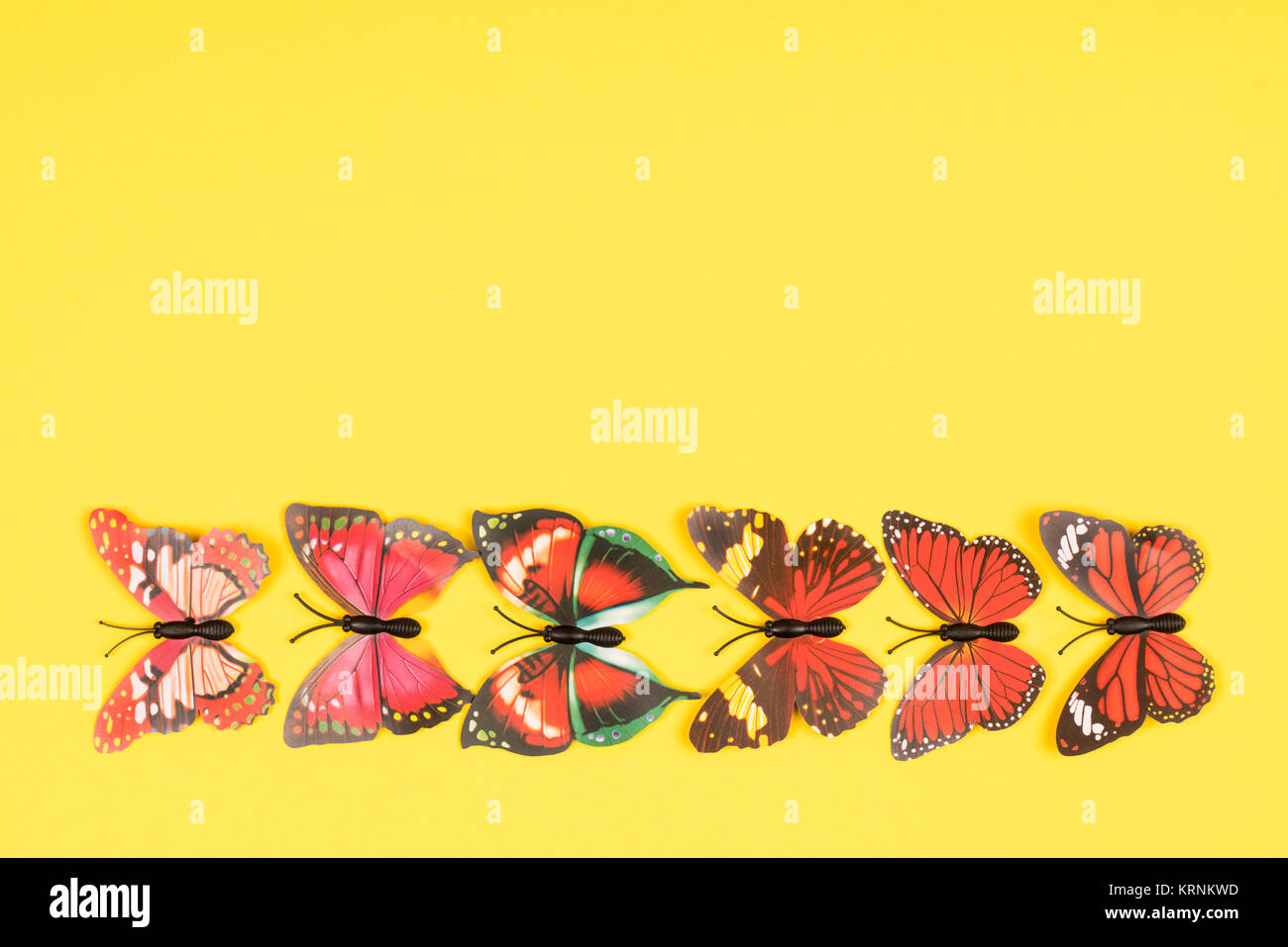 Farfalle decorative su uno sfondo colorato Foto Stock