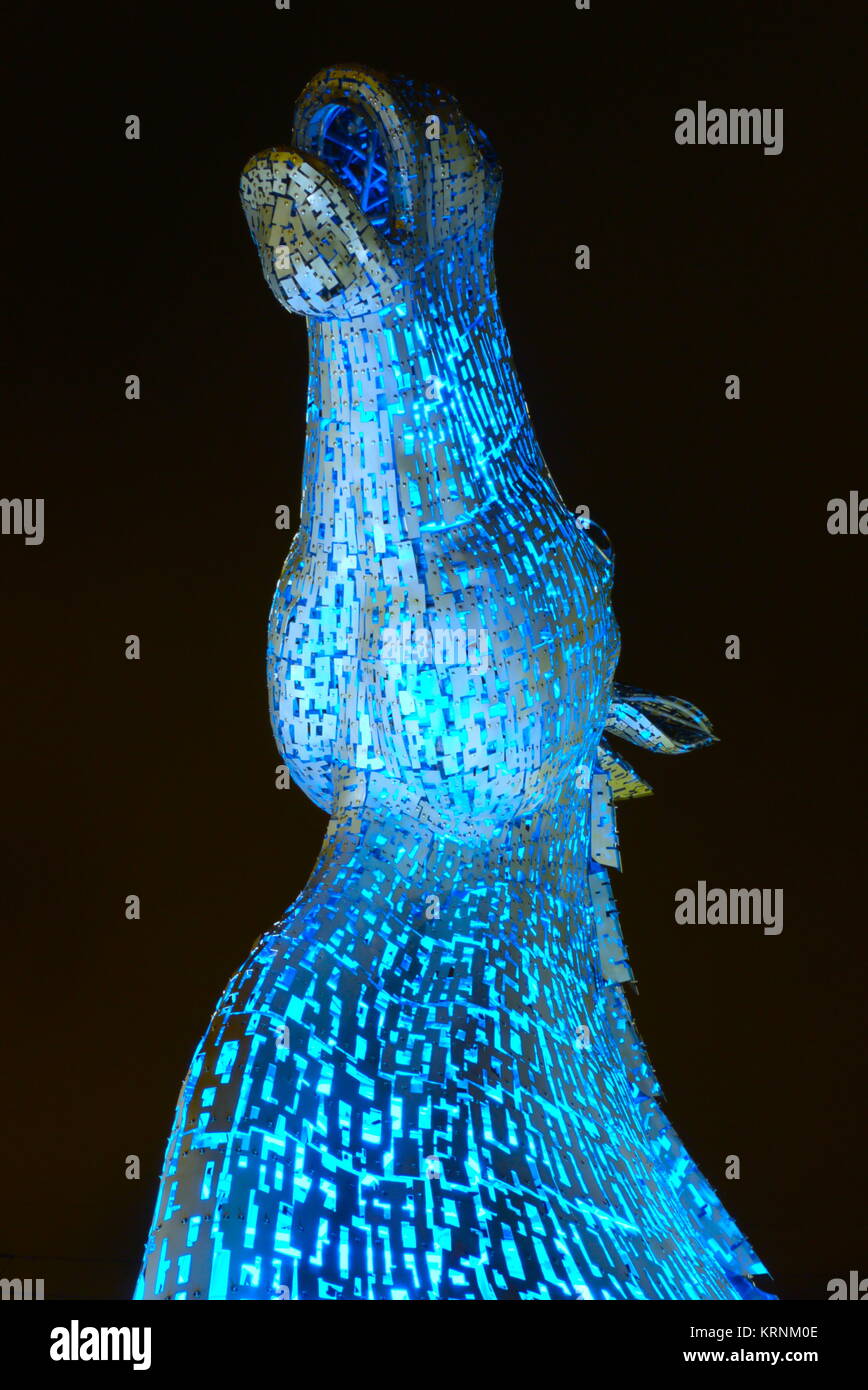 Il kelpie blu Foto Stock