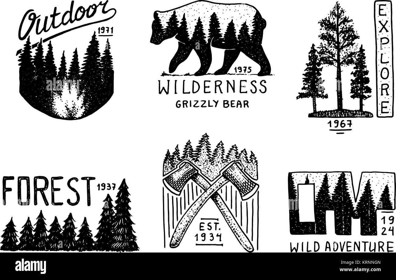 La foresta di conifere, montagne e logo in legno. camping e natura selvaggia. paesaggi con alberi di pino e colline. emblema o il badge, tenda turistico, orso bruno, viaggi per etichette vintage. incisi disegnati a mano. Illustrazione Vettoriale
