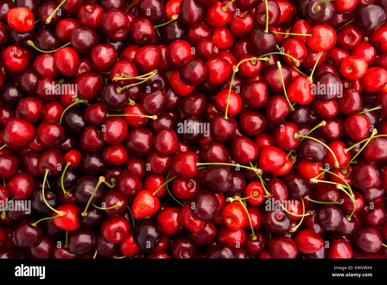 Ciliegia di colore rosso sfondo. Red delicious mature le ciliegie Foto Stock