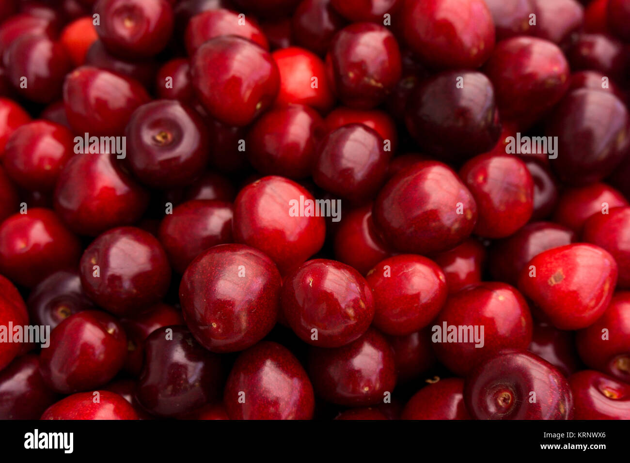 Ciliegia di colore rosso sfondo. Red delicious mature le ciliegie Foto Stock