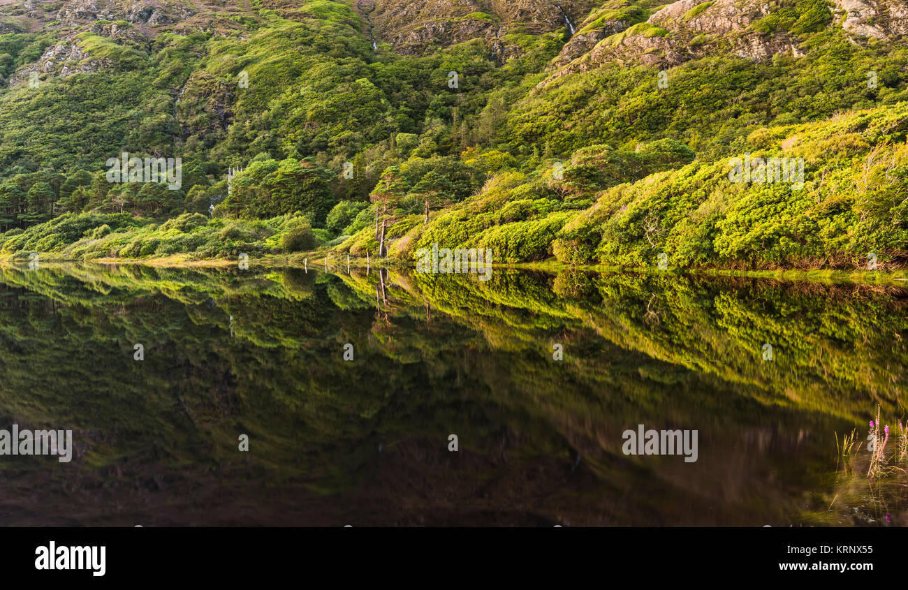 Lago Pollacappul, Connemara, nella contea di Galway, è quasi perfettamente ancora dopo il tramonto con riflesso perfetto e Kylemore Abbey visibile attraverso il lago Foto Stock