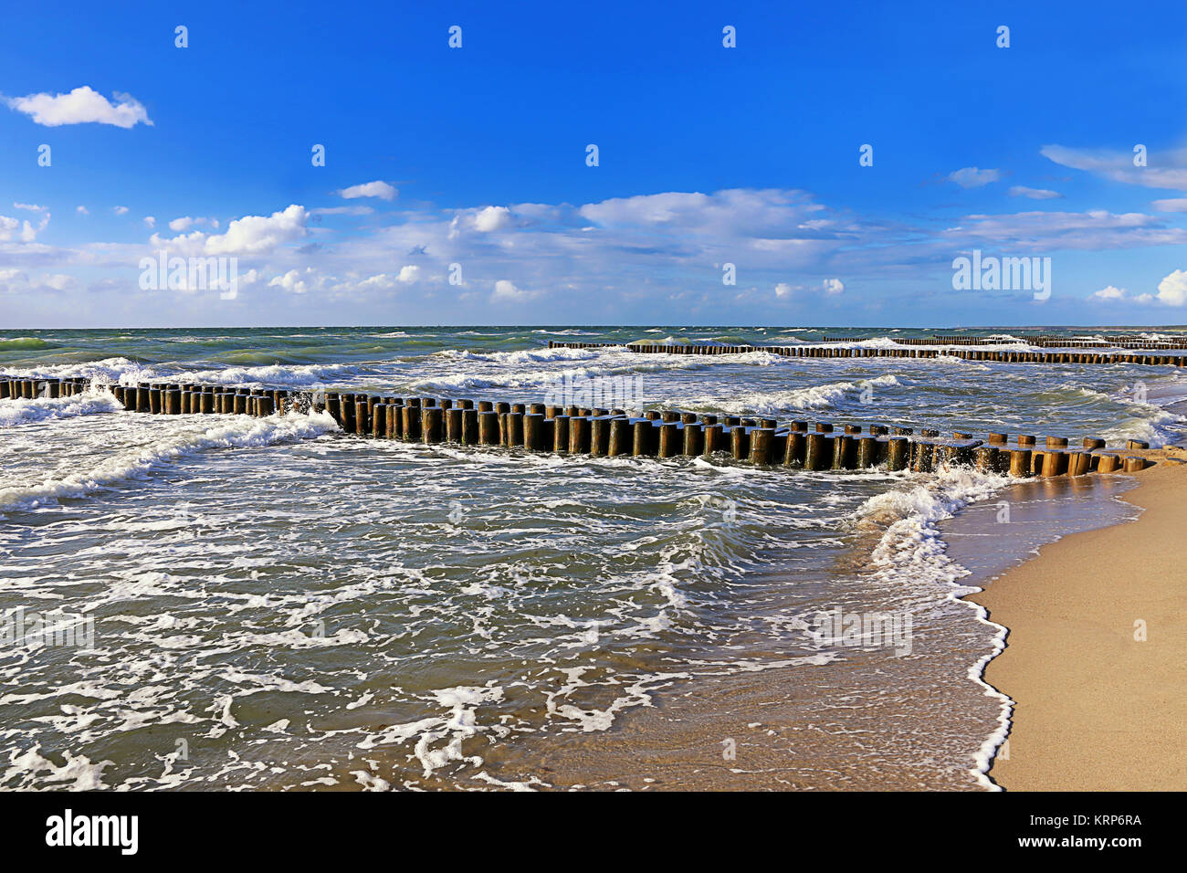 groynes sulla spiaggia del mar baltico vicino ahrenshoop Foto Stock