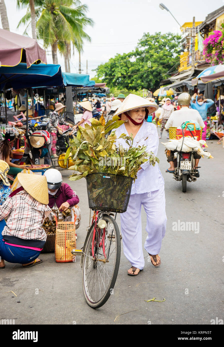 Royalty di alta qualità gratuitamente immagini di stock di Hoi An, Vietnam. Foto Stock