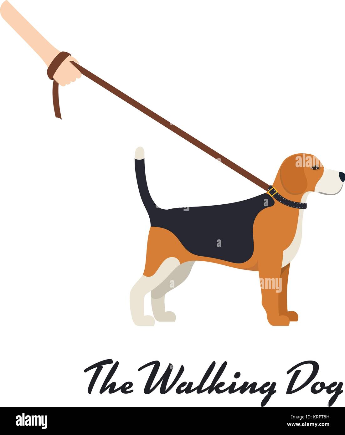 Cane Beagle con un guinzaglio - colore del vettore gravi cane di razza Beagle sulla passeggiata Illustrazione Vettoriale