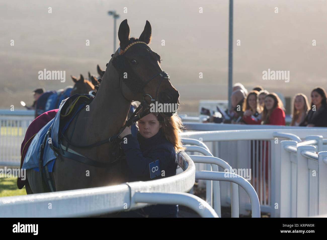 La Principessa delle corse ippiche Roania davanti al prezzo Gwynne Trasporto Fantini condizionale' Handicap Hurdle a Ffos Las Foto Stock