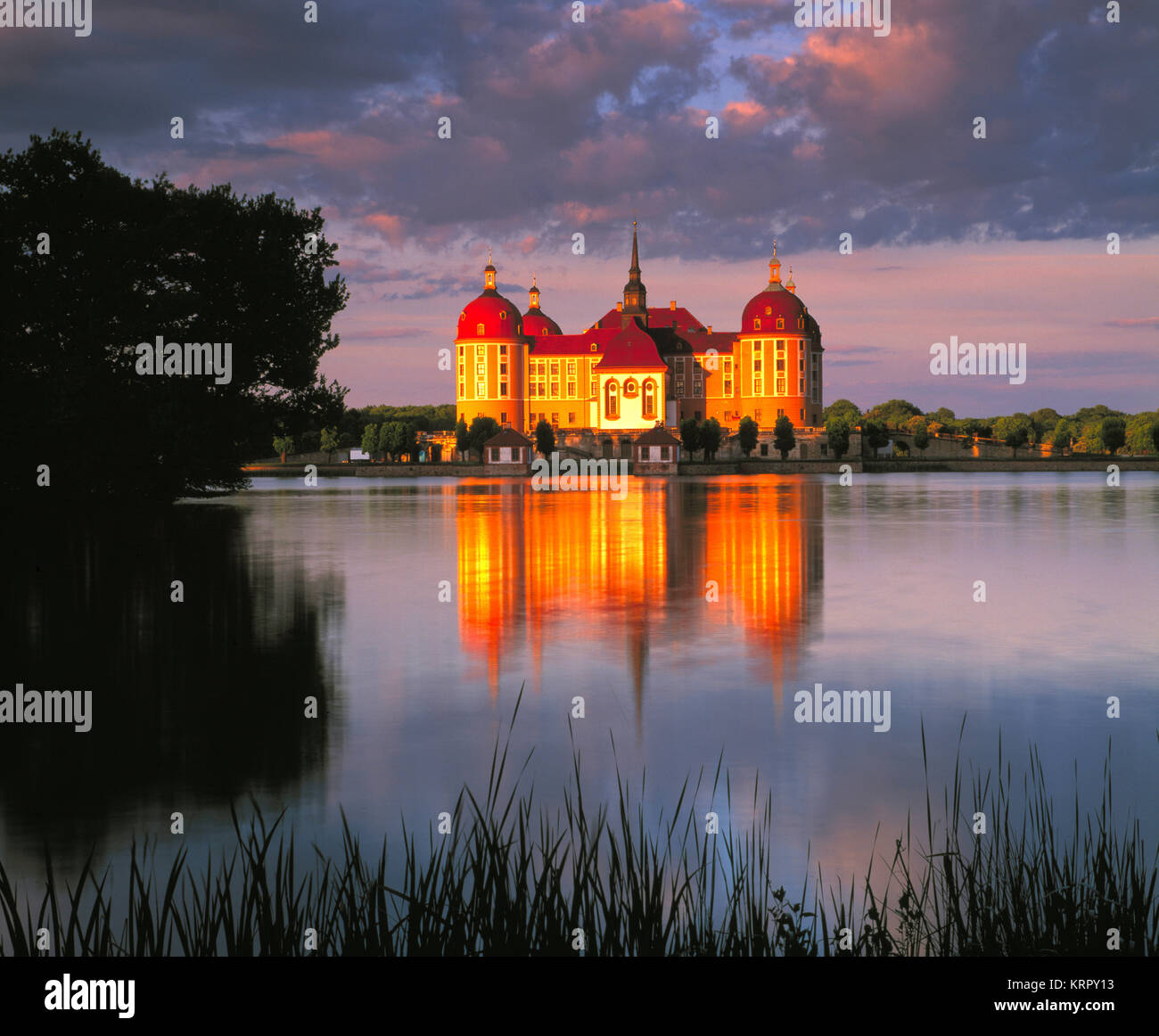 Castello di Moritzburg, nei pressi di Dresda, Sassonia, Germania Foto Stock