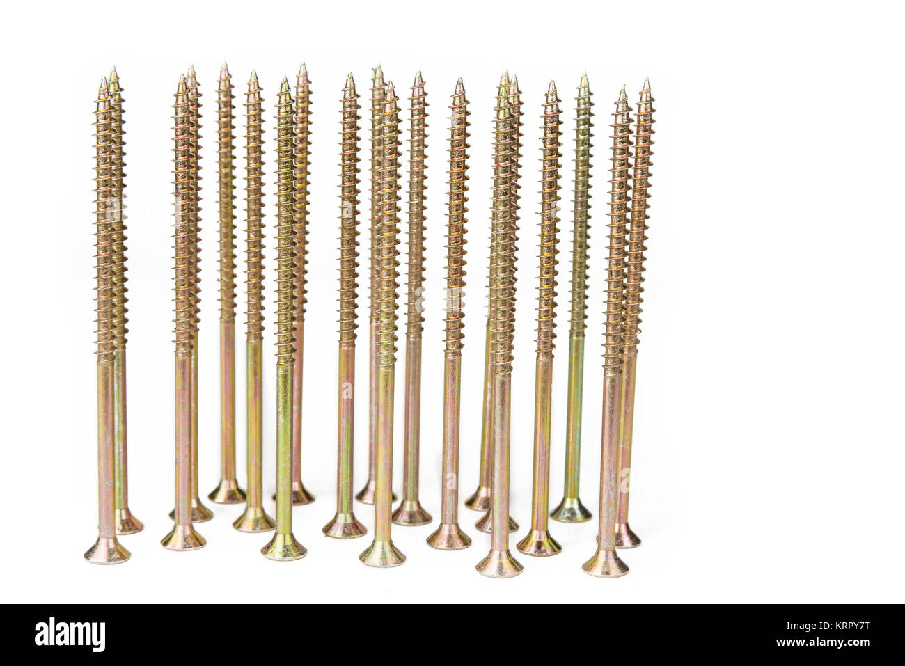 Cerati singolo thread, multiuso di vite per legno a lungo sul bianco Foto Stock