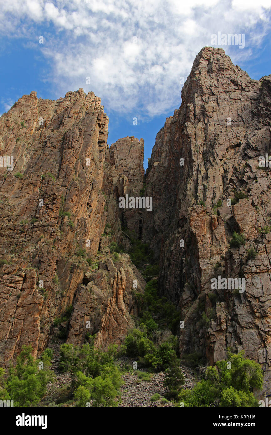 Pareti di roccia tower alto overhead, visto dal pavimento del Black Canyon del Gunnison in Colorado. Foto Stock