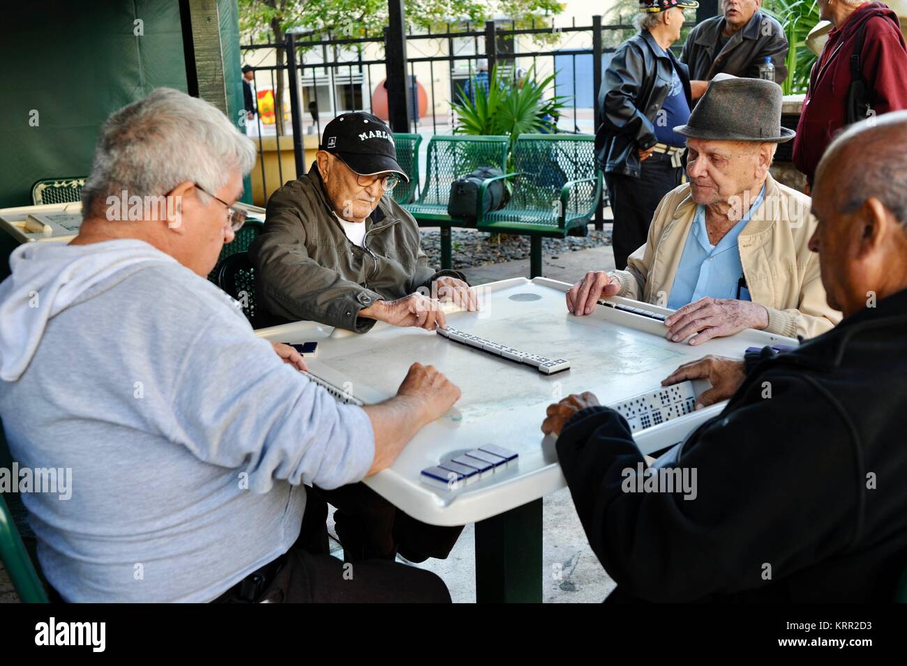 Gruppo di anziani senior uomini cubano GIOCA Domino in Domino Park/Maximo Gomez Park sulla Calle Ocho, Little Havana di Miami, Florida, Stati Uniti d'America. Foto Stock