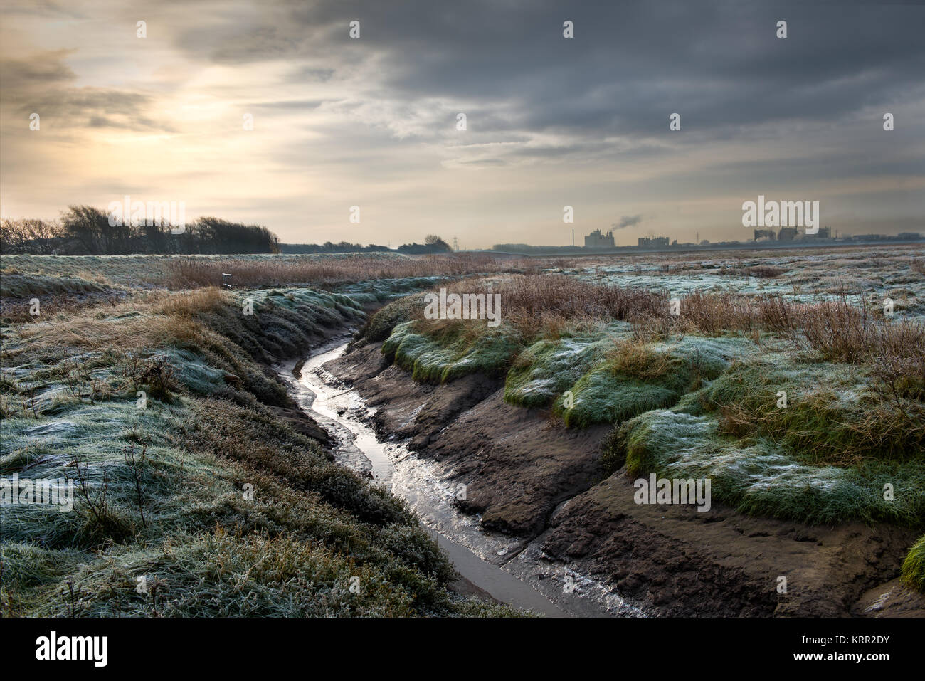 Burrows Marsh vicino Stalmine sul fiume Wyre Estuary Foto Stock