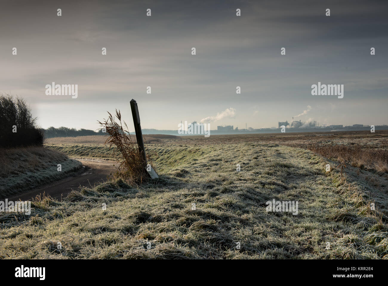 Burrows Marsh vicino Stalmine sul fiume Wyre Estuary Foto Stock