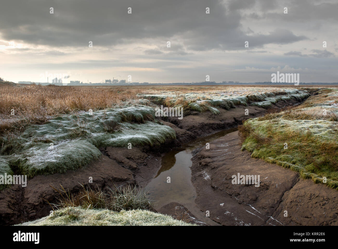Burrows Marsh vicino Stalmine sul fiume Wyre Estuary Foto Stock