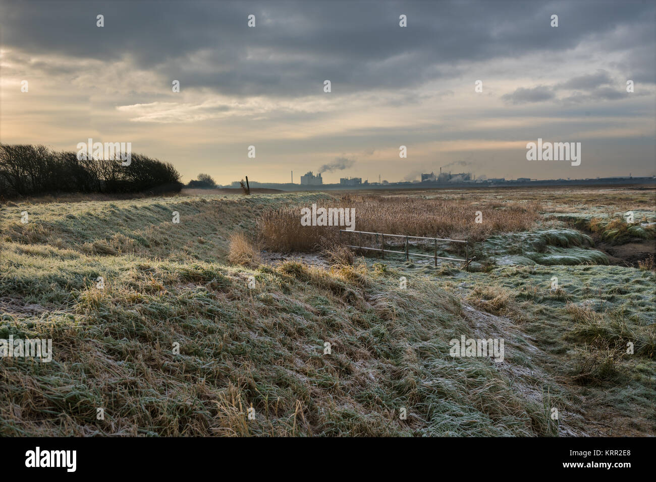 Burrows Marsh vicino Stalmine sul fiume Wyre Estuary Foto Stock