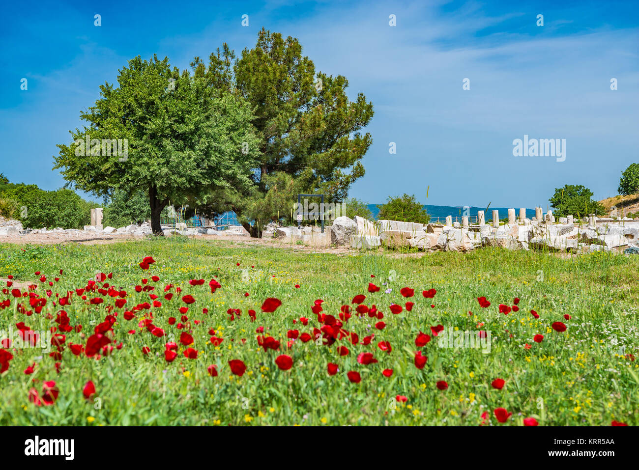 Colonne nella città antica di Efeso Foto Stock