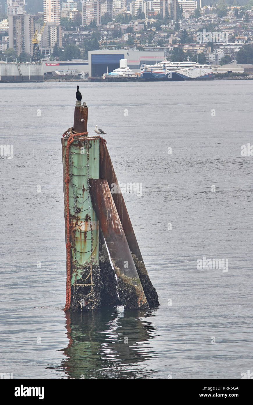 Immagini di Porto e rampa in testa il porto di Vancouver, Canada Foto Stock