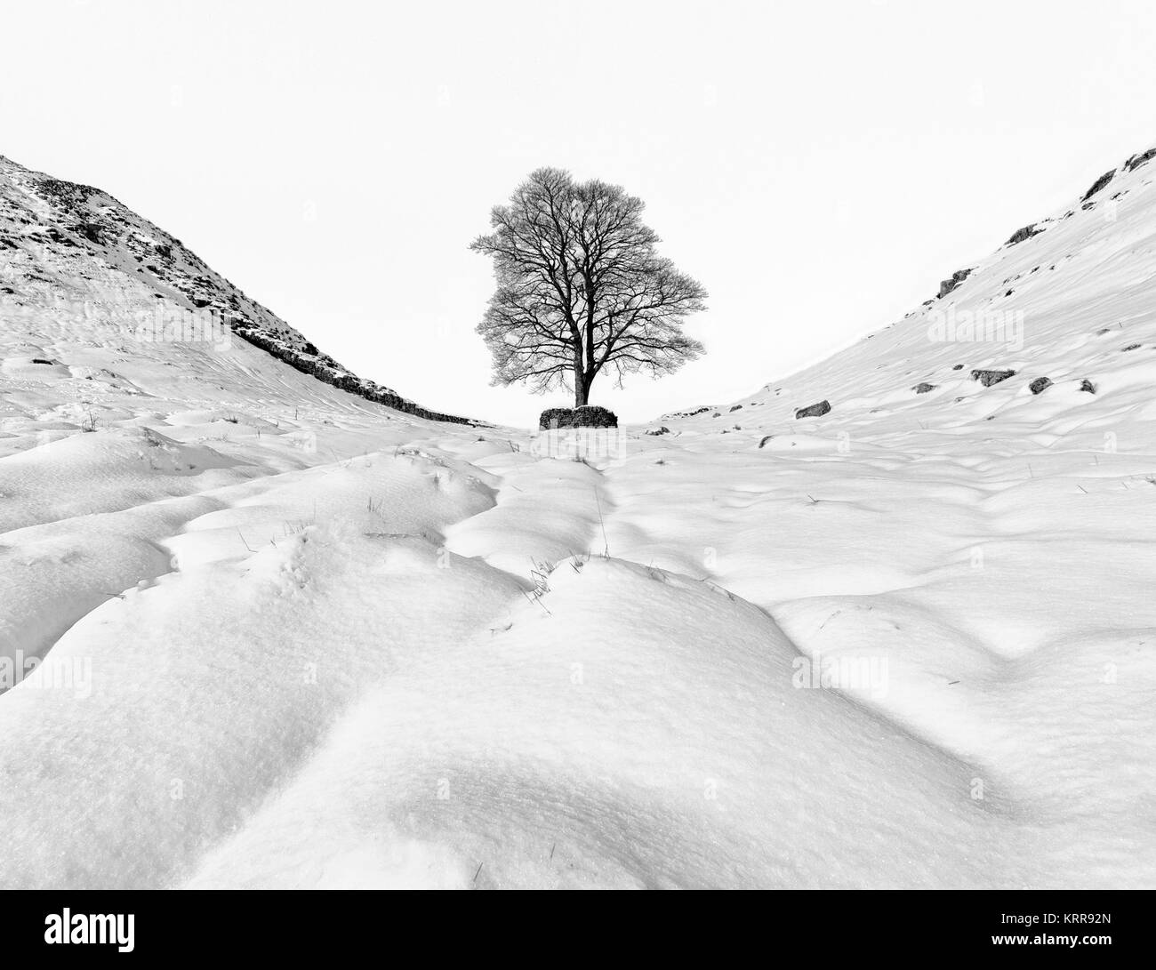 Neve invernale scena silhouette di Lone Tree e muro romano a Sycamore Gap sul vallo di Adriano in Northumberland Foto Stock