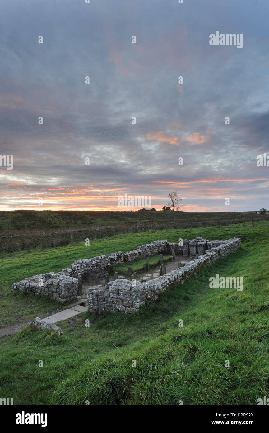 Brocolitia tempio di Mitra a Carrawburgh un sito romano lungo il percorso del Muro di Adriano in Northumberland Foto Stock