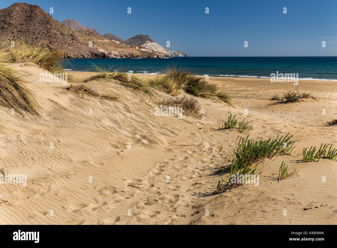 Los Genoveses beach. San Jose. Il parco naturale di Cabo de Gata. Spagna. Foto Stock