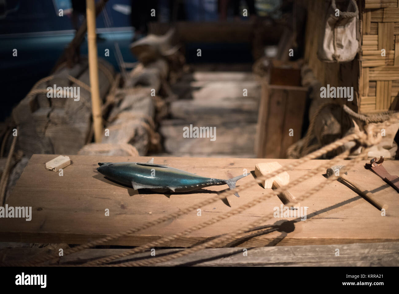 Museo Kon-Tiki mostra Oslo Norvegia // OSLO, Norvegia - il Museo Kon-Tiki di Oslo è dedicato alla spedizione Kon-Tiki, un viaggio del 1947 in zattera attraverso l'Oceano Pacifico dal Sud America alle isole Polinesiane, guidato dall'esploratore e scrittore norvegese Thor Heyerdahl. Il museo espone l'originale nave in legno di balsa Kon-Tiki e la Ra II, una barca costruita prevalentemente di canne che Heyerdahl navigò dal Nord Africa ai Caraibi. Foto Stock