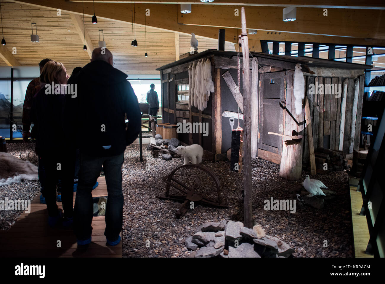 LONGYEARBYEN, Svalbard - la mostra di caccia e trappole al Museo delle Svalbard presenta una capanna dei trapper ricostruita che espone pelli di volpe artiche e attrezzature utilizzate durante il periodo di svernamento delle Svalbard dagli anni '1890 al 1941. La mostra documenta come quasi 400 persone, tra cui il 6% delle donne, abbiano trascorso più di 1.000 inverni nell'arcipelago intrappolando orsi polari, volpi artiche e renne, catturando al contempo foche e uccelli e raccogliendo anatre e oca. I cacciatori russi iniziarono a sfruttare regolarmente le risorse biologiche delle Svalbard nel 1819, con i cacciatori norvegesi che seguirono Who Wer Foto Stock
