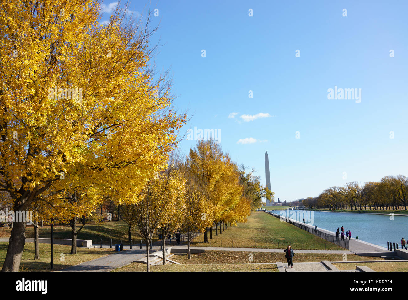 Lincoln Memorial Reflecting Pool Autunno Washington DC | WASHINGTON D.C., Stati Uniti — Foglie dorate di olmo costeggiano il Lincoln Memorial Reflecting Pool, con il Washington Monument che si erge in lontananza lungo l'asse centrale del National Mall. Il bacino, costruito nel 1922-1923 su progetti attribuiti all'architetto Henry Bacon, si estende per circa 2.028 piedi (618 m), rendendolo uno dei più grandi bacini ornamentali al mondo. La sua vasca scura è stata progettata per riflettere i monumenti circostanti piuttosto che competere con essi. Foto Stock
