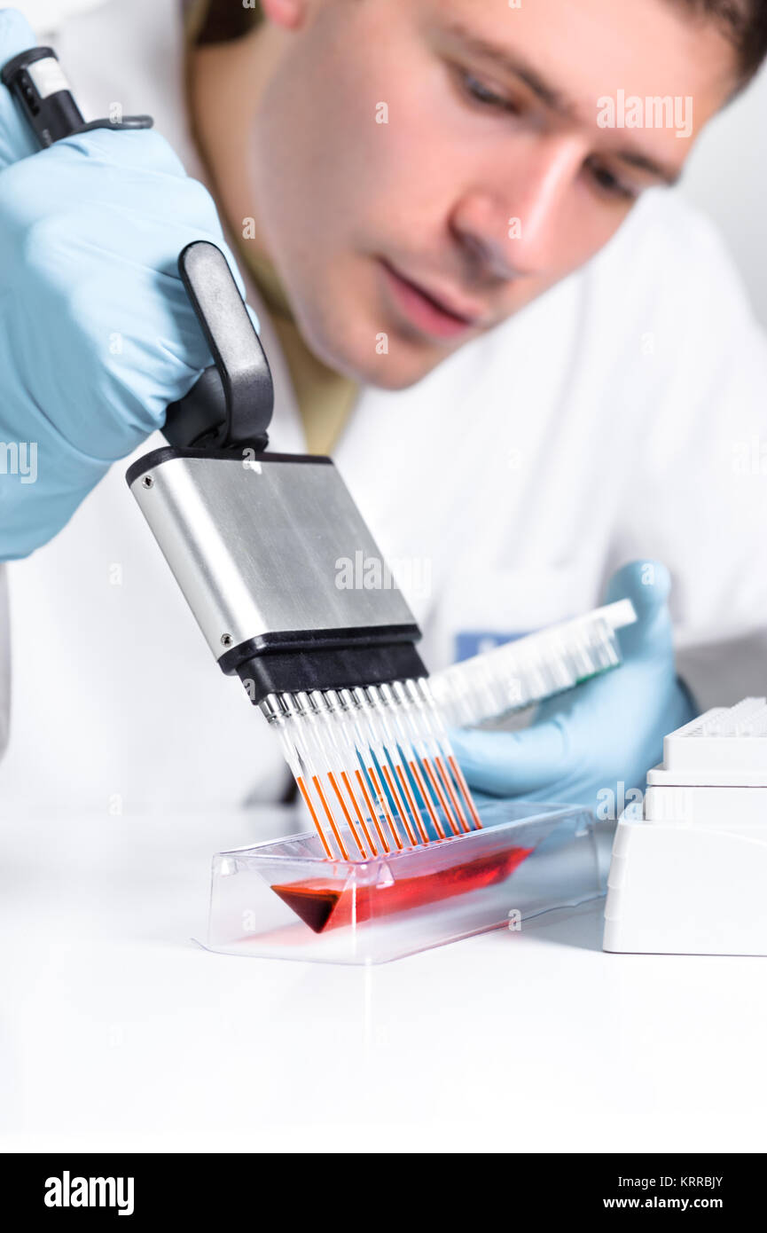 Impostazione della reazione di PCR con pipetta multicanale Foto Stock