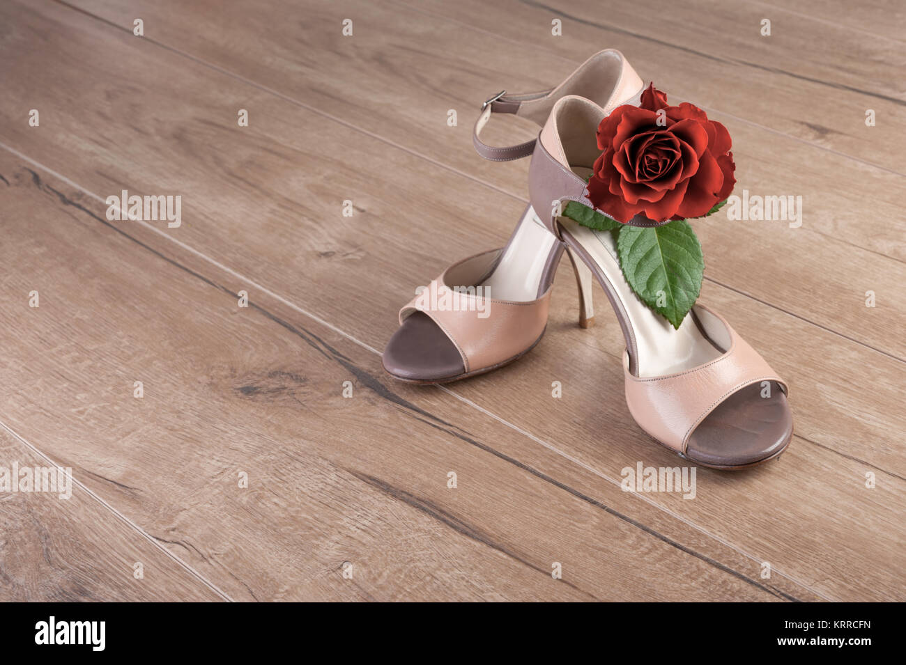 Tango Argentino scarpe con una rosa sul pavimento di legno, spazio di testo Foto Stock