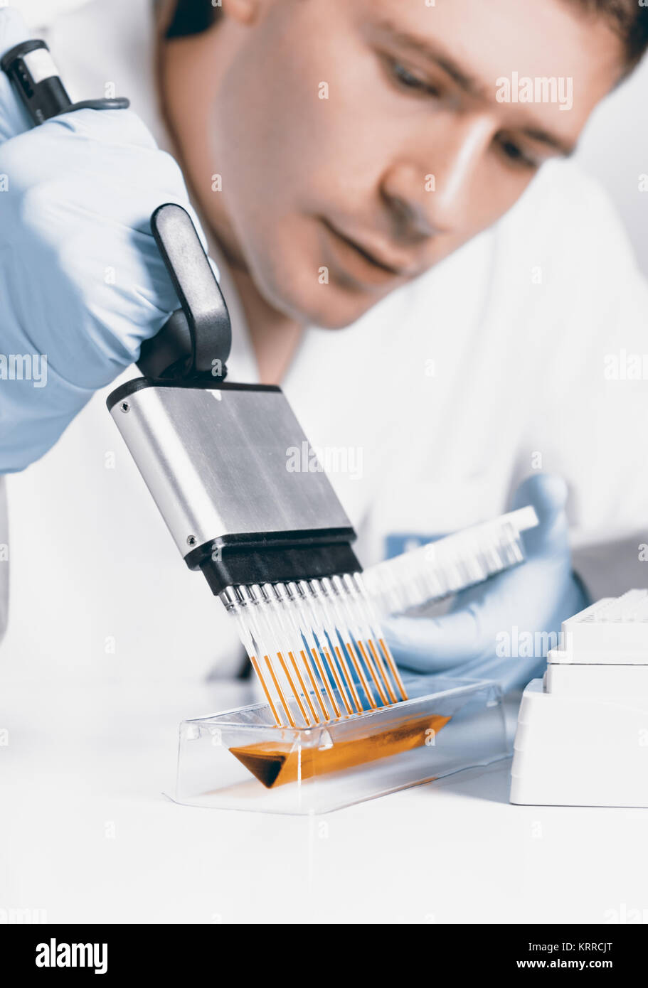 Impostazione della reazione di PCR con pipetta multicanale Foto Stock