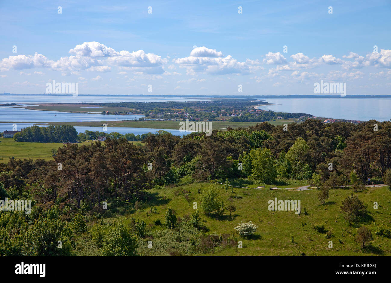 Paesaggio presso il parco nazionale di 'Vorpommersche parco nazionale", isola di Hiddensee, Meclemburgo-Pomerania, Mar Baltico, Germania, Europa Foto Stock