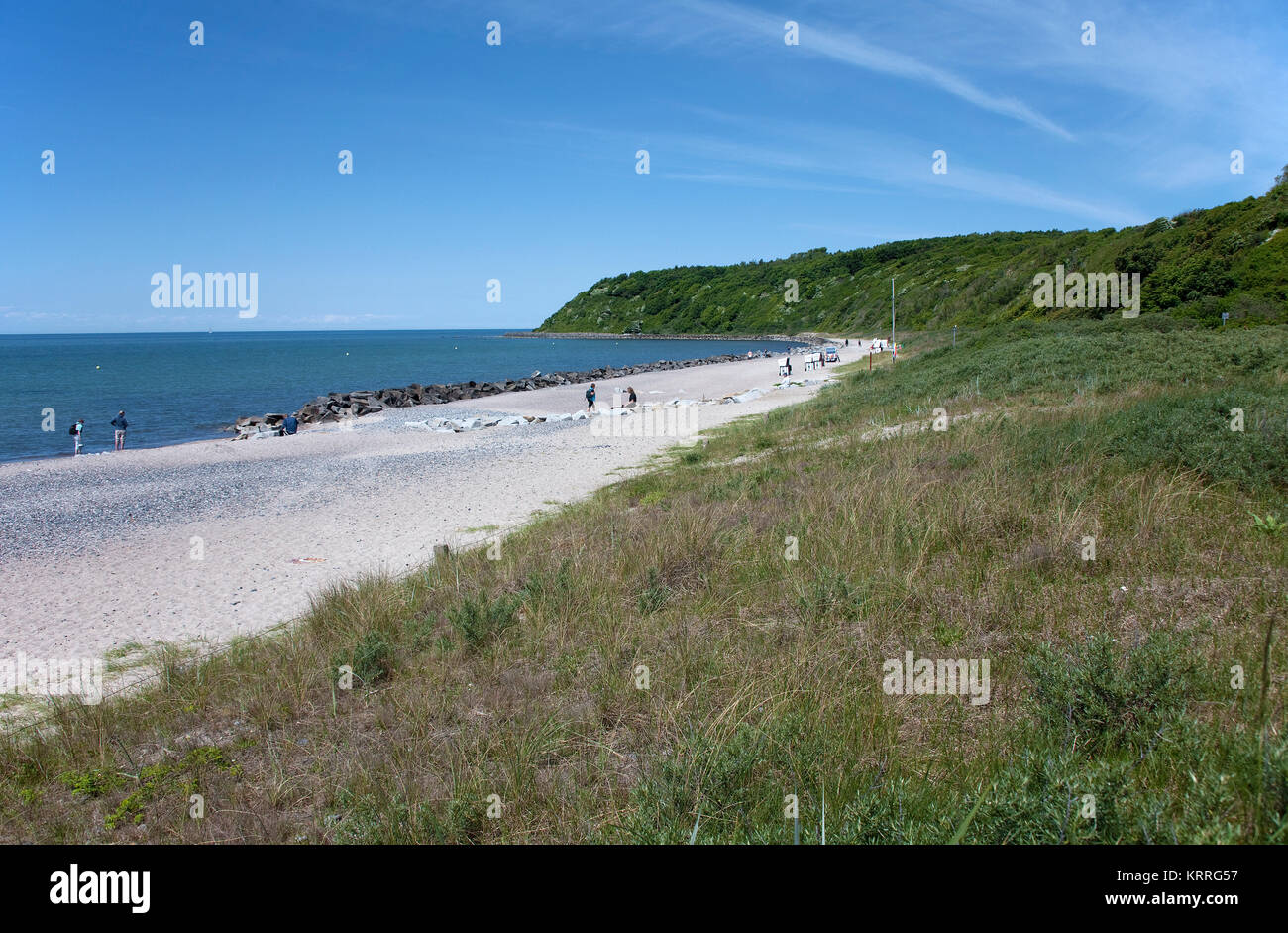 Spiaggia a Vitte, isola di Hiddensee, Meclemburgo-Pomerania, Mar Baltico, Germania, Europa Foto Stock