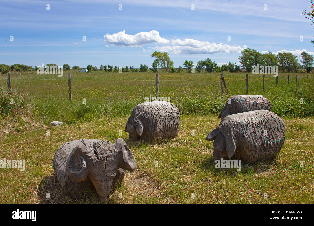 Le pecore di legno presso il museo del villaggio Vitte, isola di Hiddensee, Meclemburgo-Pomerania, Mar Baltico, Germania, Europa Foto Stock